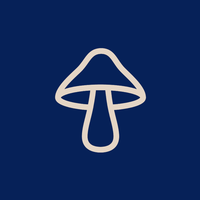 DIRTEA logo